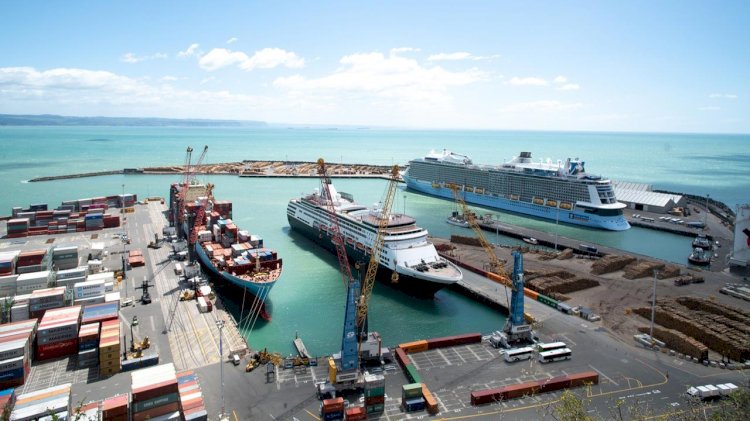 Napier Port appointed a contractor to build its new wharf