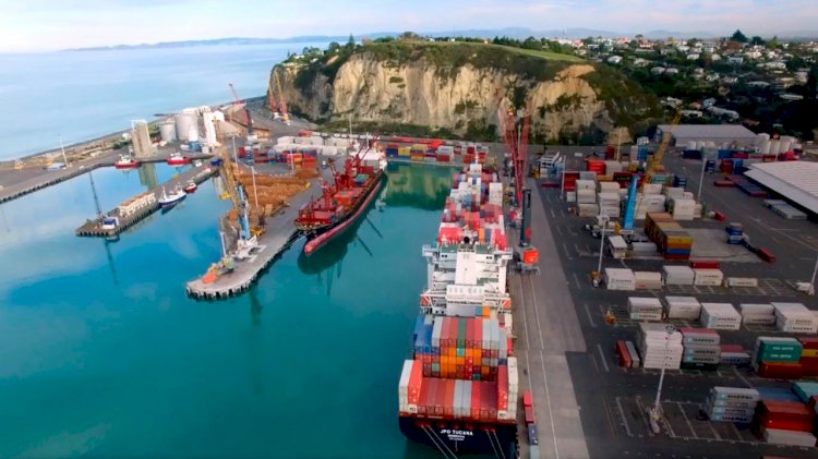 Napier Port will use limestone rock to develop an artificial reef