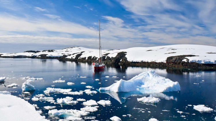 New Antarctic crustacean species described after 82 years