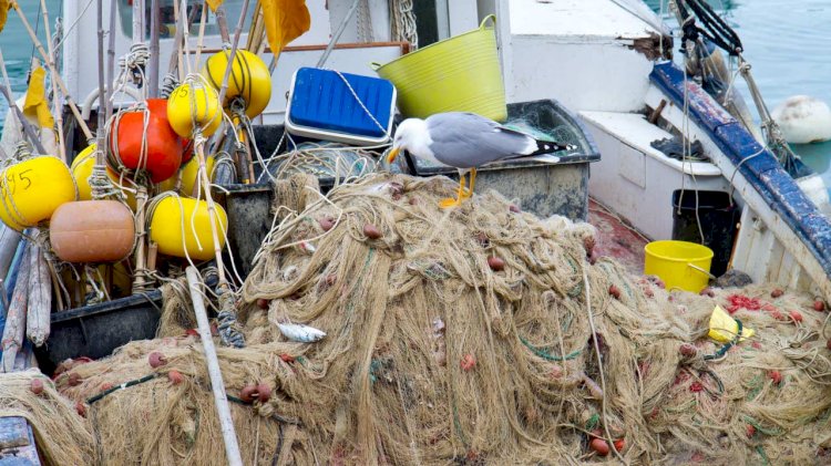 EMFF launches new project to develop biobased ropes for aquaculture